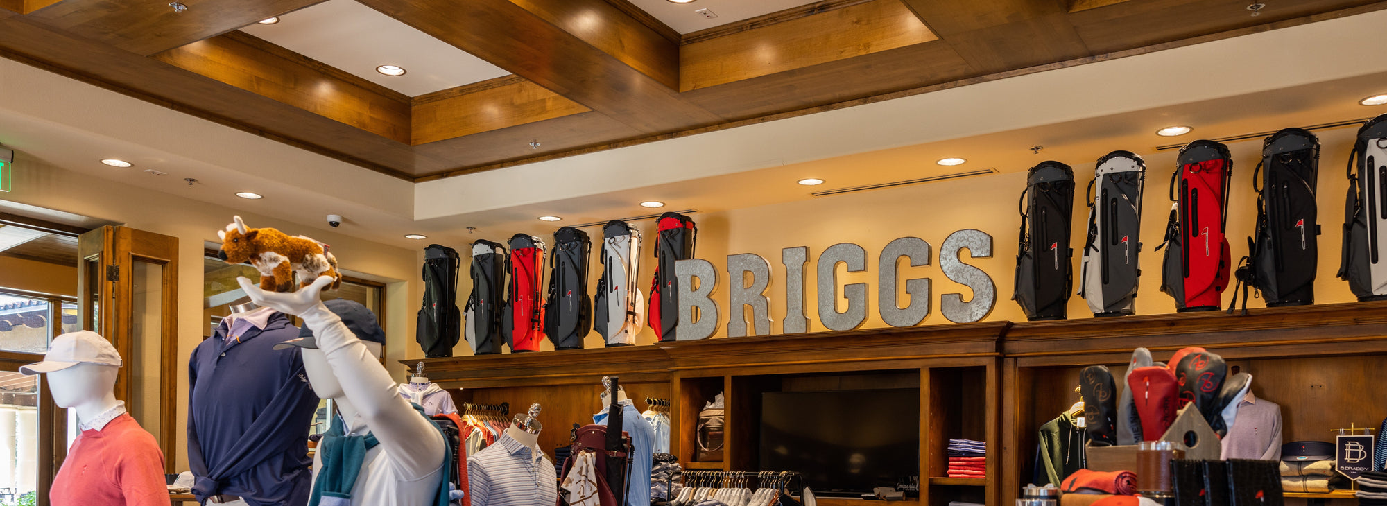 BRIGGS RANCH