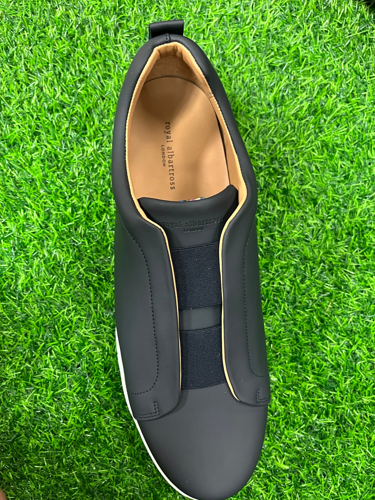 Royal Albatross Connaught Shoe
