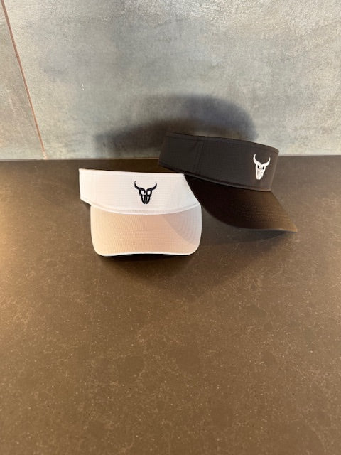 GrayBull Imperial Phoenix Visor