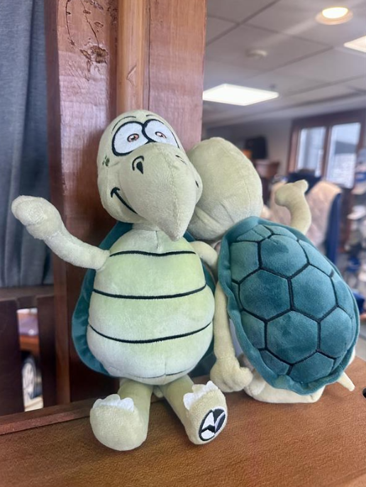 Turtle Plushie